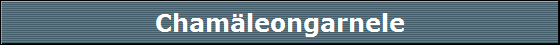 Cham�leongarnele