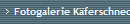 Fotogalerie K�ferschnecken