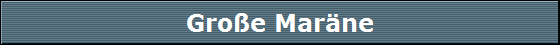 Gro�e Mar�ne