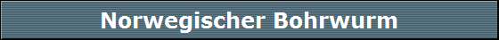 Norwegischer Bohrwurm