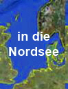 Arten der Nordsee