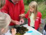 Kinderspezialkurs, Meeresbiologie
